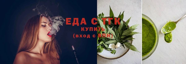 индика Аркадак
