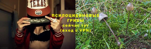 стаф Балахна