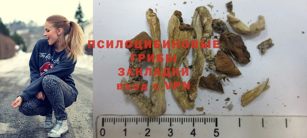 стаф Балахна