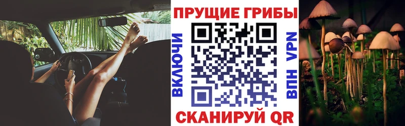 Галлюциногенные грибы мицелий  Купить  Фрязино 